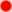 red_period